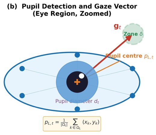 Pupil center and gaze vector estimation